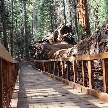 Вилла Shirley Creek Retreat: A Mountain Oasis Wofford Heights Экстерьер фото