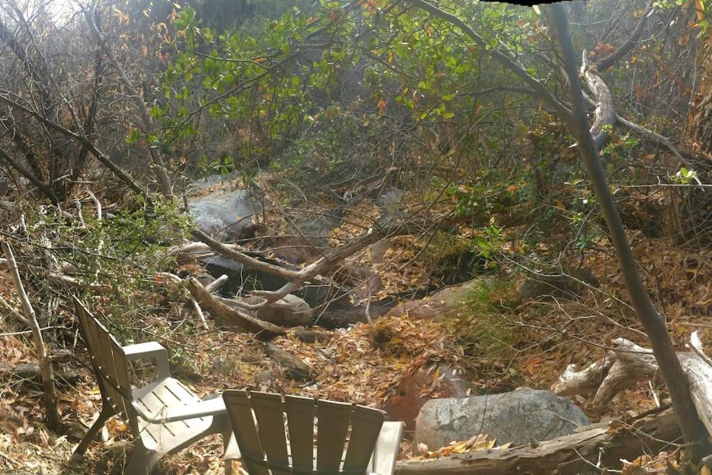 Вилла Shirley Creek Retreat: A Mountain Oasis Wofford Heights Экстерьер фото